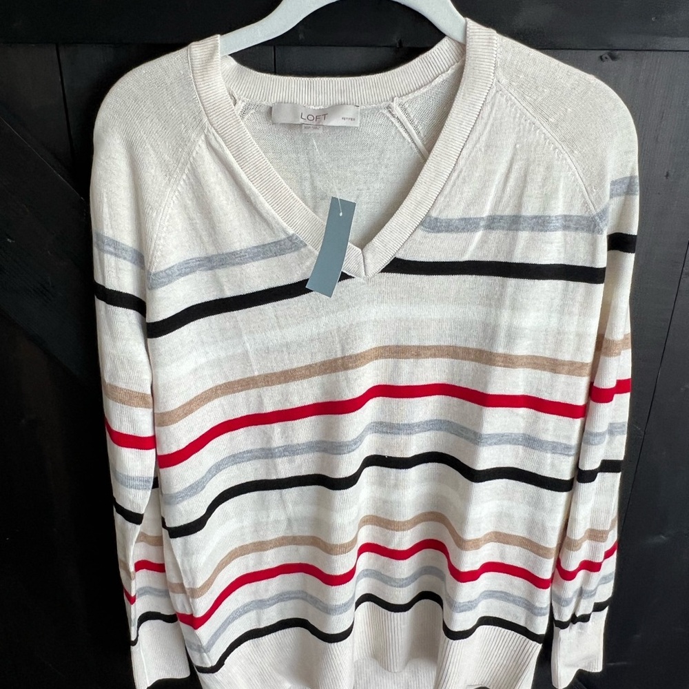 LOFT Women’sV-Neck Sweater with Multicolor Stripes